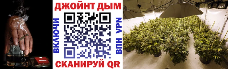 Как найти наркотики Новозыбков Галлюциногенные грибы  Конопля  Меф  ГАШИШ  КОКАИН 