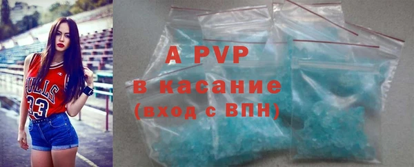 стафф Алексин