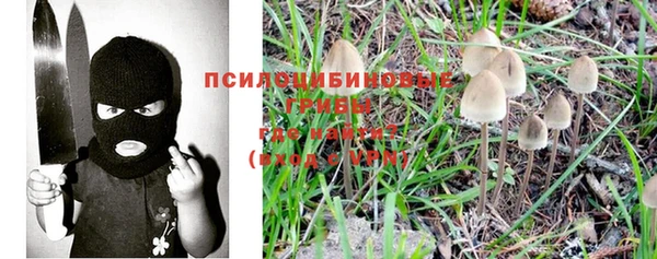 стафф Алексин